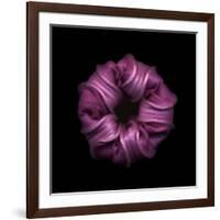 Darkness E3 - Purple Morning Glory Bud-Doris Mitsch-Framed Photographic Print