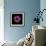 Darkness E3 - Purple Morning Glory Bud-Doris Mitsch-Framed Photographic Print displayed on a wall