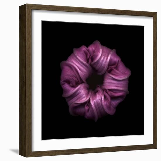 Darkness E3 - Purple Morning Glory Bud-Doris Mitsch-Framed Photographic Print