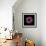 Darkness E3 - Purple Morning Glory Bud-Doris Mitsch-Framed Photographic Print displayed on a wall