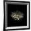 Darkness G5: Gerbera Daisy-Doris Mitsch-Framed Photographic Print