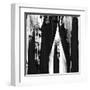Darkness Reigns II-Cynthia Alvarez-Framed Art Print