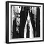 Darkness Reigns II-Cynthia Alvarez-Framed Art Print