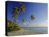 Darkwood Beach, Antigua, Caribbean, West Indies-John Miller-Stretched Canvas