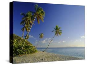 Darkwood Beach, Antigua, Caribbean, West Indies-John Miller-Stretched Canvas