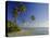 Darkwood Beach, Antigua, Caribbean, West Indies-John Miller-Stretched Canvas