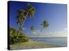 Darkwood Beach, Antigua, Caribbean, West Indies-John Miller-Stretched Canvas