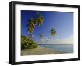 Darkwood Beach, Antigua, Caribbean, West Indies-John Miller-Framed Photographic Print