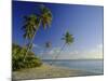 Darkwood Beach, Antigua, Caribbean, West Indies-John Miller-Mounted Photographic Print