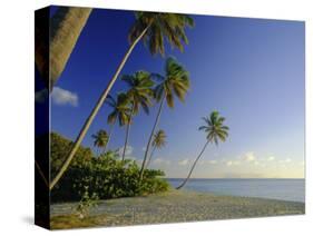 Darkwood Beach, Antigua, Caribbean, West Indies-John Miller-Stretched Canvas