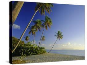 Darkwood Beach, Antigua, Caribbean, West Indies-John Miller-Stretched Canvas