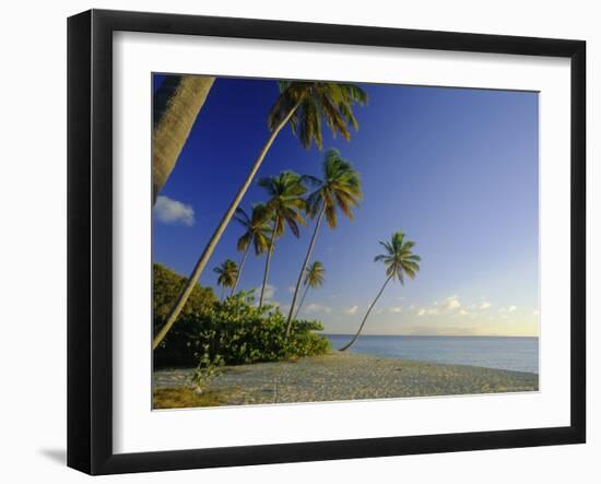 Darkwood Beach, Antigua, Caribbean, West Indies-John Miller-Framed Photographic Print