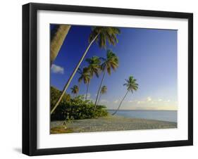 Darkwood Beach, Antigua, Caribbean, West Indies-John Miller-Framed Photographic Print