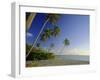 Darkwood Beach, Antigua, Caribbean, West Indies-John Miller-Framed Photographic Print