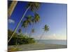 Darkwood Beach, Antigua, Caribbean, West Indies-John Miller-Mounted Photographic Print