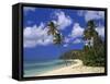 Darkwood Beach, Antigua, Leeward Islands, Caribbean, West Indies, Central America-John Miller-Framed Stretched Canvas