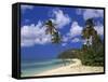 Darkwood Beach, Antigua, Leeward Islands, Caribbean, West Indies, Central America-John Miller-Framed Stretched Canvas