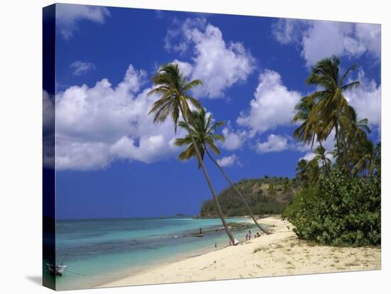 Darkwood Beach, Antigua, Leeward Islands, Caribbean, West Indies, Central America-John Miller-Stretched Canvas