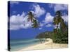 Darkwood Beach, Antigua, Leeward Islands, Caribbean, West Indies, Central America-John Miller-Stretched Canvas