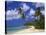 Darkwood Beach, Antigua, Leeward Islands, Caribbean, West Indies, Central America-John Miller-Stretched Canvas