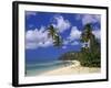 Darkwood Beach, Antigua, Leeward Islands, Caribbean, West Indies, Central America-John Miller-Framed Photographic Print