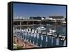 Darling Harbour, Sydney, New South Wales, Australia-Sergio Pitamitz-Framed Stretched Canvas