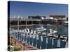 Darling Harbour, Sydney, New South Wales, Australia-Sergio Pitamitz-Stretched Canvas