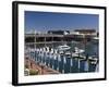 Darling Harbour, Sydney, New South Wales, Australia-Sergio Pitamitz-Framed Photographic Print