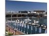 Darling Harbour, Sydney, New South Wales, Australia-Sergio Pitamitz-Mounted Photographic Print