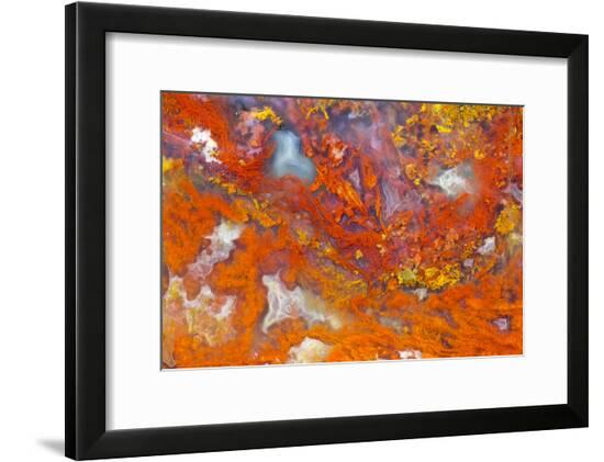 Framed Photographic Print, , large
