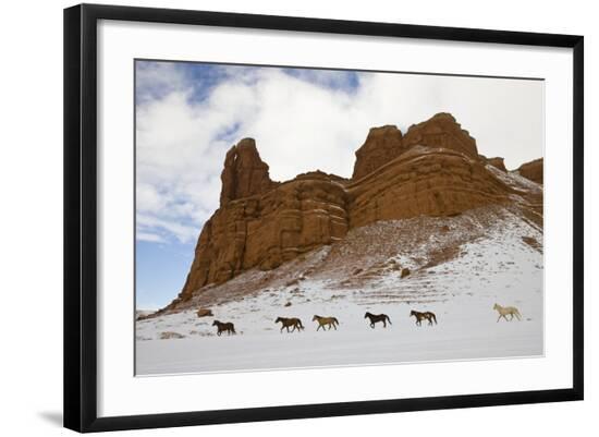 Photographic Print, , large