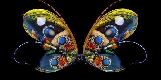 Premium Photographic Print, , large