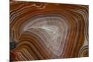 Wood Mount