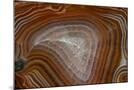 Wood Mount