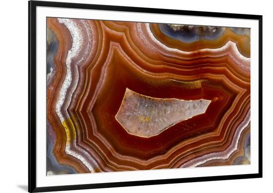 Framed Photographic Print, , large