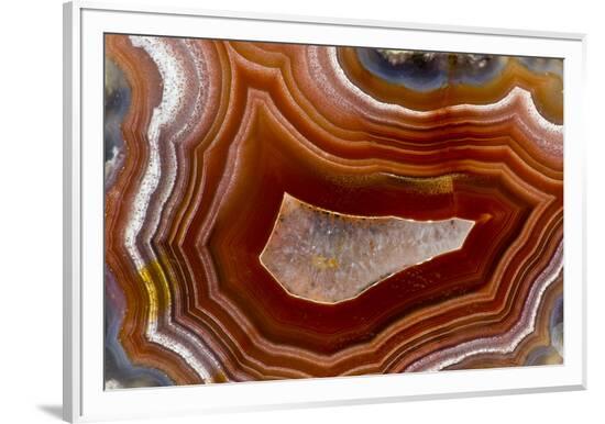 Framed Photographic Print, , large