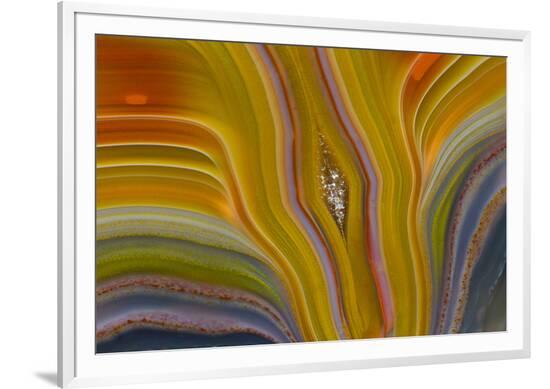 Framed Photographic Print, , large