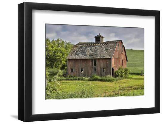 Premium Photographic Print, , large