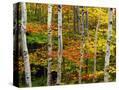 Stretched Canvas