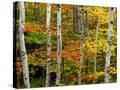 Stretched Canvas