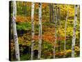 Stretched Canvas