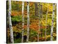Stretched Canvas