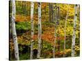 Stretched Canvas