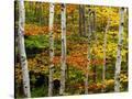 Stretched Canvas