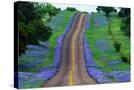 Stretched Canvas