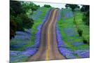 Wood Mount
