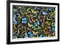 Gramercy Black