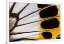 Gramercy White