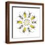 Brown Frame