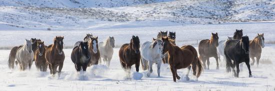 Premium Photographic Print, , large
